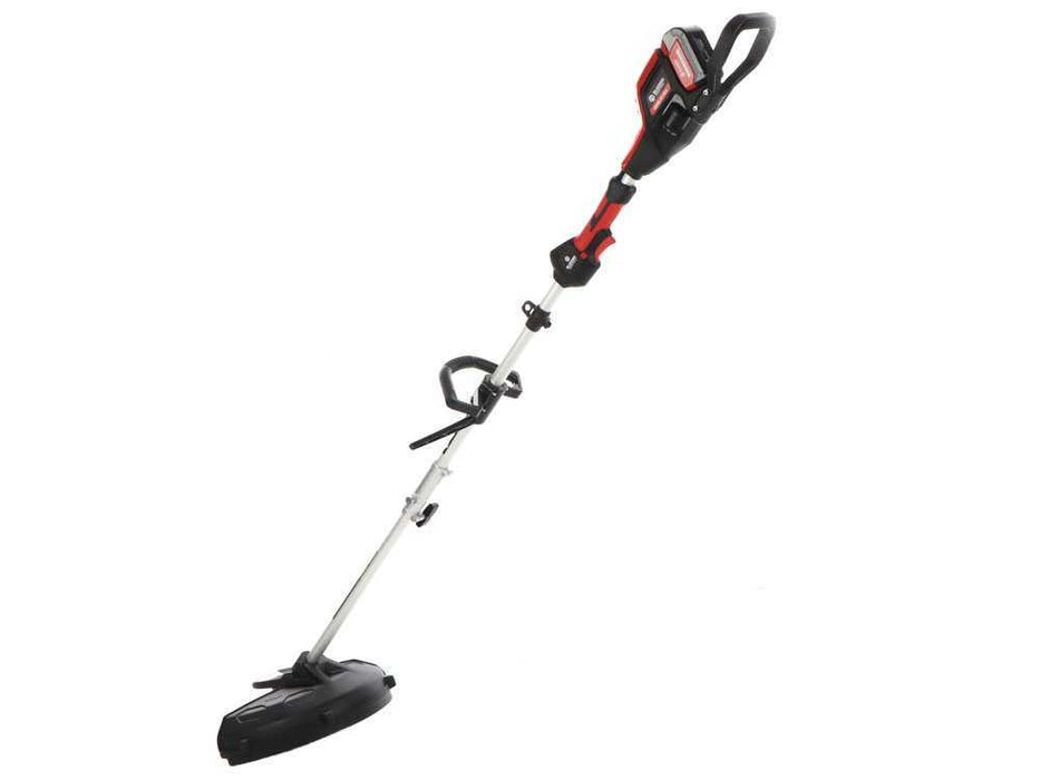 BLUE BIRD DECESPUGLIATORE COMBI 22-800 21V