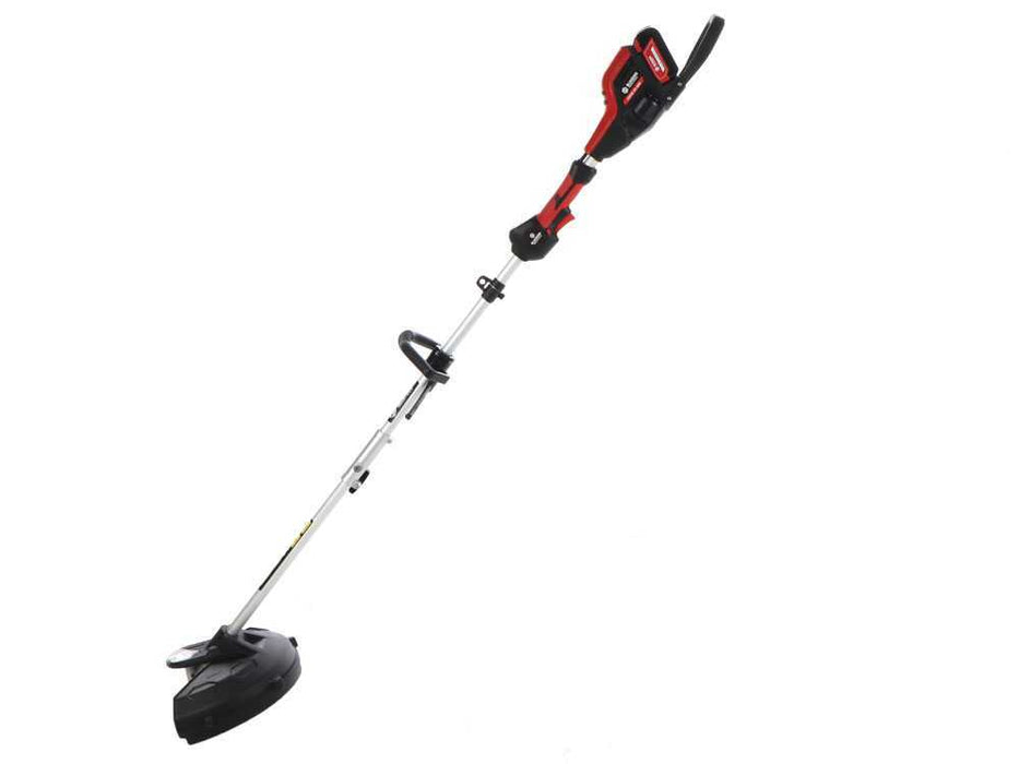 BLUE BIRD DECESPUGLIATORE COMBI 22-800 21V