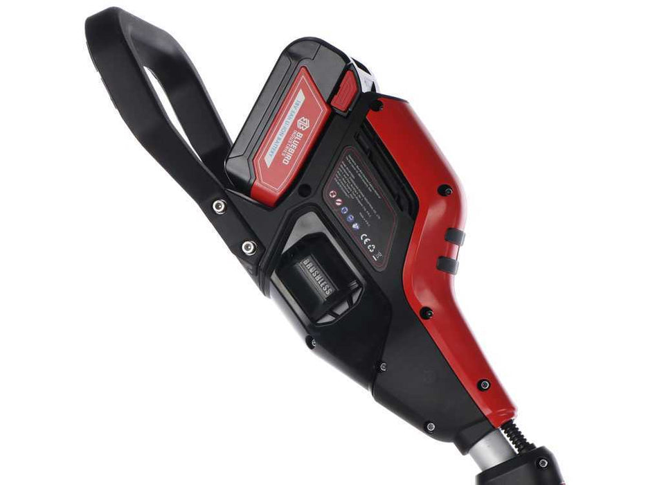 BLUE BIRD DECESPUGLIATORE COMBI 22-800 21V